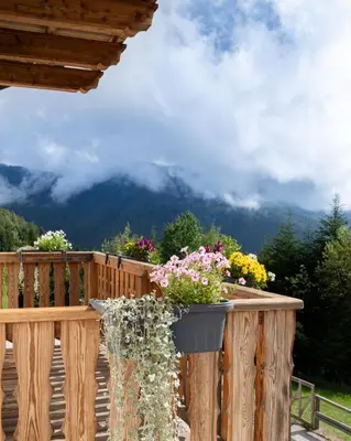 a wooden deck with a pot of flowers on it at El Casel dei Masi in Grumes