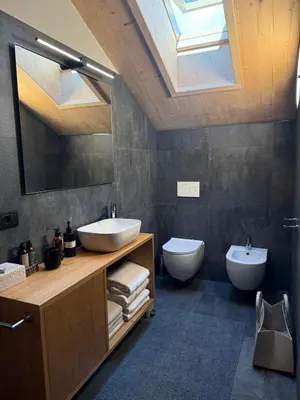 a bathroom with a sink and a toilet and a skylight at Alloggio per Milano-Cortina 2026 a ValdiFiemme in Carano