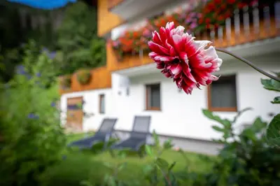 a red flower in front of a building with two chairs at Apartments Raffl in Ortisei