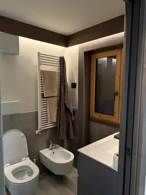 a bathroom with a toilet and a sink at Dimora Alverà 19 in Cortina dʼAmpezzo