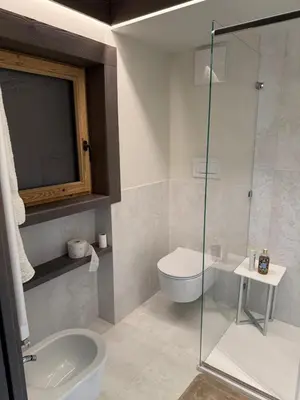 a bathroom with a shower and a toilet and a sink at Dimora Alverà 19 in Cortina dʼAmpezzo