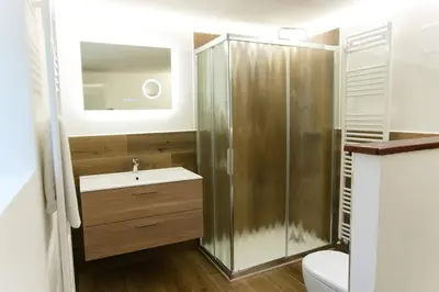 a bathroom with a shower and a sink and a toilet at Dolomites Garden Flat near Cortina in Villanova
