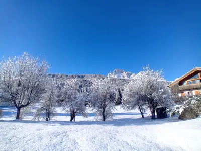 a snow covered field with trees and a house at Dolomites Garden Flat near Cortina in Villanova