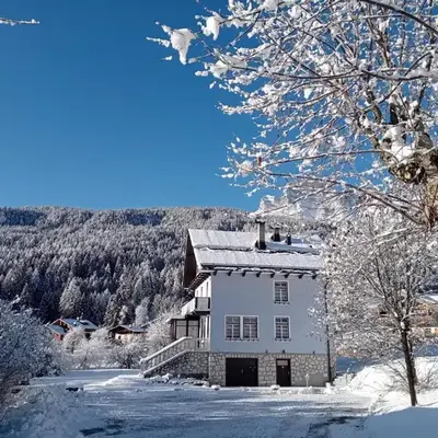 Dolomites Garden Flat near Cortina