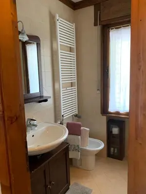 a bathroom with a sink and a toilet at Apartment with Dolomites view in Cortina dʼAmpezzo