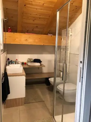 a bathroom with a toilet and a sink at villa morena in Cavalese