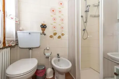 a bathroom with a toilet and a sink and a shower at Suite Civetta in Masarè
