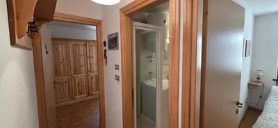 a bathroom with a walk in shower next to a door at Condominio de Rocia in Moena