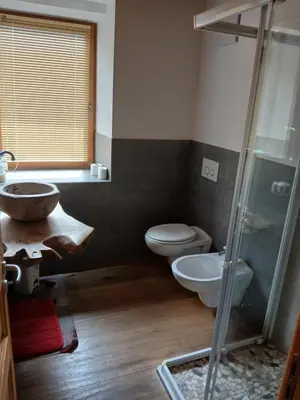 a bathroom with a sink and a toilet and a shower at BeB LA STUBE DEI PARTEL in Ziano di Fiemme