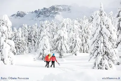 two people cross country skiing through a snow covered forest at Guest House Dezulian in Castello di Fiemme