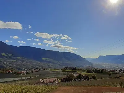 a view of a vineyard with mountains in the background at Appartements Laimer in Haslach in Tirolo