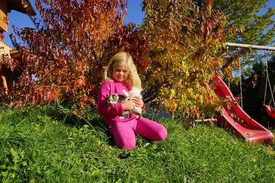 a little girl sitting in the grass holding a kitten at Chalet Frapes in San Martino in Badia