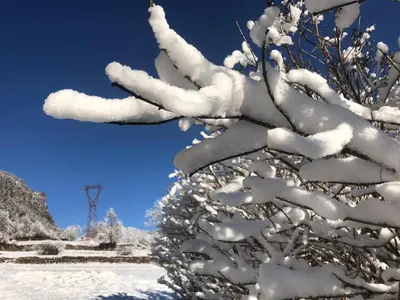 a tree covered in snow next to a blue sky at Lauton Dolomiti Relax Apartment - mit Jacuzzi-Badewanne in Ziano di Fiemme