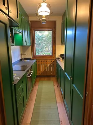 a green kitchen with green cabinets and a window at Appartamento 5 Torri - Dolce Vita Stay in Cortina dʼAmpezzo