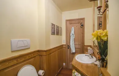 a bathroom with a toilet and a sink at Casa Cristallo in Cortina dʼAmpezzo