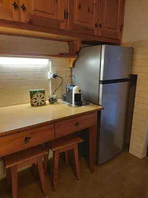 a kitchen with a stainless steel refrigerator and a wooden counter at Ca' del Ghiaccio in Cortina dʼAmpezzo