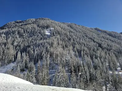 a mountain covered in trees with snow on it at Appartamenti - Sass de Stria Cernadoi Dolomiti in Andraz