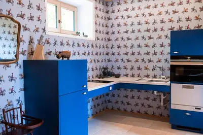 a kitchen with blue cabinets and floral wallpaper at Wohnung GEORG-OTTO in Soprabolzano
