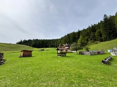 a large green field with a barn and trees at Luxchalet a pochi minuti dal centro in Cortina dʼAmpezzo
