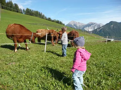 two children are looking at cows in a field at Chi Plans in Antermoia