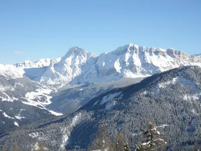 a snow covered mountain with trees in the foreground at Chi Plans in Antermoia