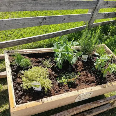a wooden garden box with plants in it at Chi Plans in Antermoia