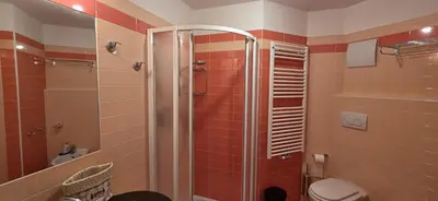 a bathroom with a shower and a toilet at Casa Aloch da Aldo Gianni in Pozza di Fassa