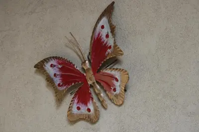 a butterfly is sitting on the floor at Casa Basilio in Predazzo