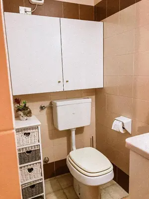 a bathroom with a white toilet and a sink at Alloggio Il Cirmolo in Cavalese