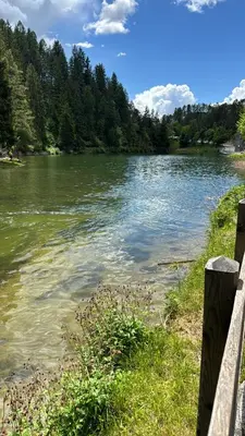 a view of a river with trees in the background at Casa dei Vessi il cuore di Fondo in Fondo