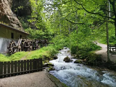 a stream in the woods next to a bridge at Casa dei Vessi il cuore di Fondo in Fondo