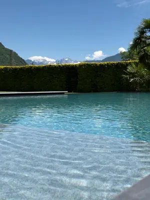 a swimming pool with blue water and a palm tree at Luna apartments in Terlano