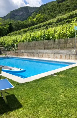 a swimming pool in a garden with a hill in the background at Apartments Palma in Cortaccia
