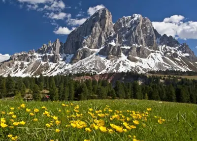 a field of flowers in front of a mountain at Appartamenti Chantal in San Martino in Badia
