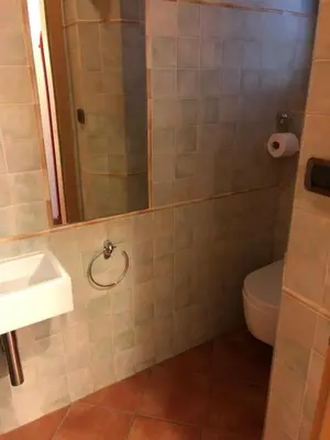 a bathroom with a toilet and a sink and a mirror at Casa dolce casa in Vols am Schlern