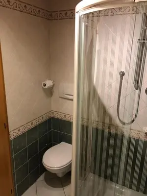 a bathroom with a toilet and a shower at Casa dolce casa in Vols am Schlern