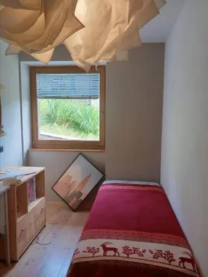 a bedroom with a large bed and a window at Casa Lilium in Daiano