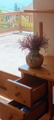 a plant in a vase on a table next to a window at Casa Lilium in Daiano