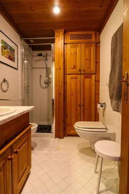 a bathroom with a toilet and a sink and a shower at Cortina Wood Home - a short walk from the center in Cortina dʼAmpezzo