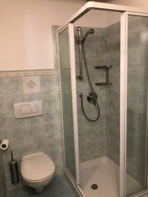 a bathroom with a shower and a toilet at Ca' Stella in Castello di Fiemme