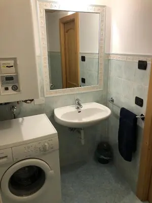 a bathroom with a sink and a washing machine at Ca' Stella in Castello di Fiemme