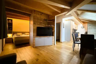 a living room with a bed and a television at Pragma Apartments - Wood Lodge Predazzo in Predazzo