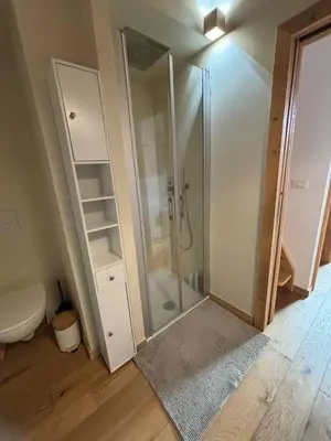 a bathroom with a shower stall and a toilet at Pragma Apartments - Wood Lodge Predazzo in Predazzo