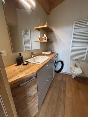 a bathroom with a sink and a toilet at Pragma Apartments - Wood Lodge Predazzo in Predazzo