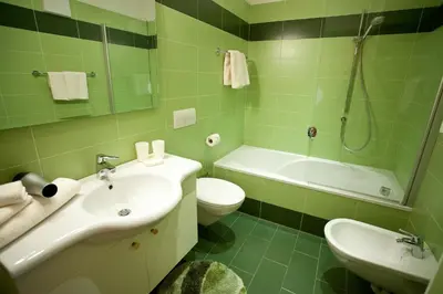a green bathroom with a sink and a toilet and a tub at Gasserhof Aicha in Naz-Sciaves