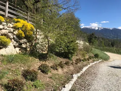 a road with yellow flowers on the side of a mountain at Gasserhof Aicha in Naz-Sciaves