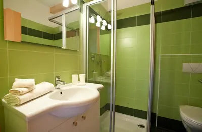 a green bathroom with a sink and a shower at Gasserhof Aicha in Naz-Sciaves