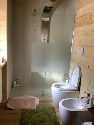 a bathroom with a white toilet and a sink at Dolomite Nest in Cencenighe