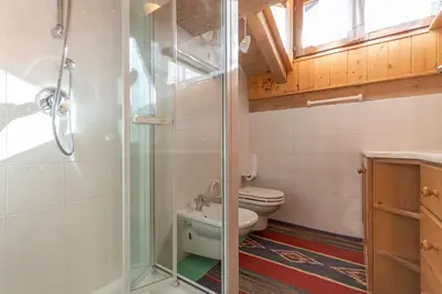 a bathroom with a toilet and a glass shower at Dreamful Cottage in Selva di Cadore