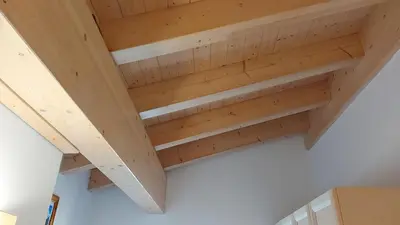 a ceiling in a room with wooden beams at Mansarda Dolores in Canazei